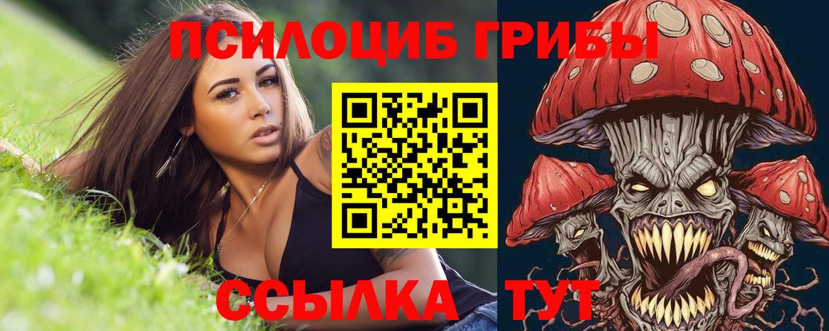 Галлюциногенные грибы прущие грибы  Галлюциногенные грибы ЛСД  Вход с VPN  Грозный 